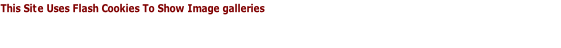 This Site Uses Flash Cookies To Show Image galleries
